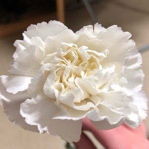 Meet your Posher, Jen